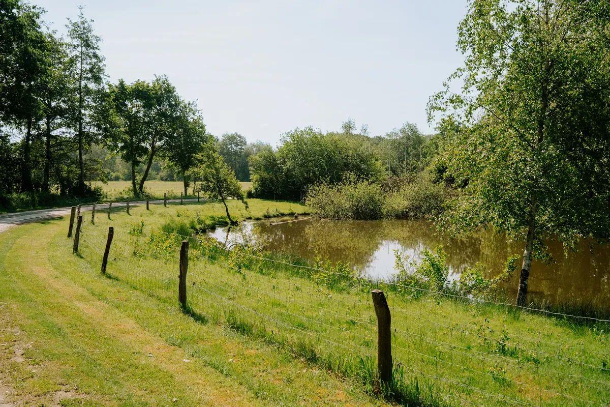 Impression 6